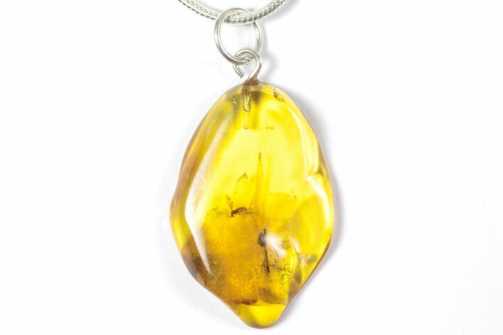Polished Baltic Amber Pendant (Necklace) - Contains Fly! #357975
